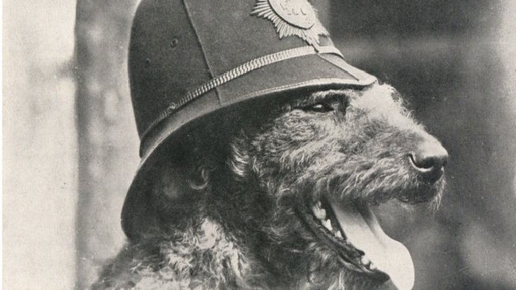 Canine Constabulary. Image from BBC Scotland. 